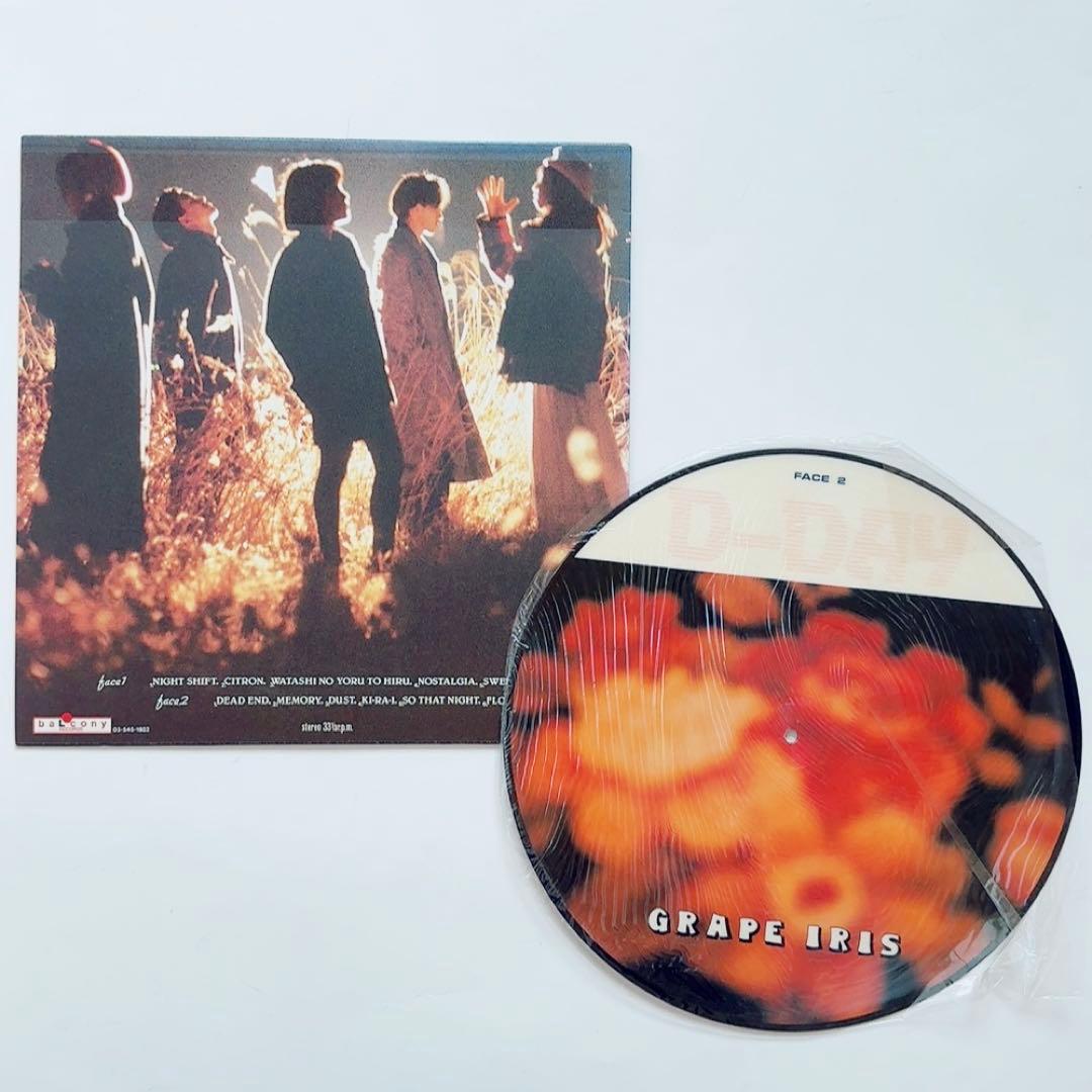 【極美品】D-DAY／GRAPE IRIS　LPレコード　ピクチャーディスク