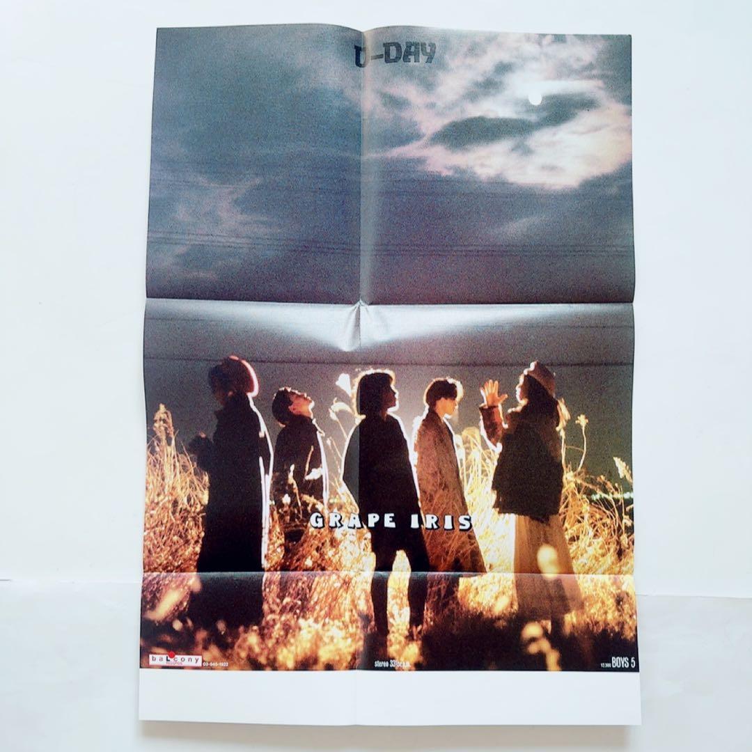 【極美品】D-DAY／GRAPE IRIS　LPレコード　ピクチャーディスク