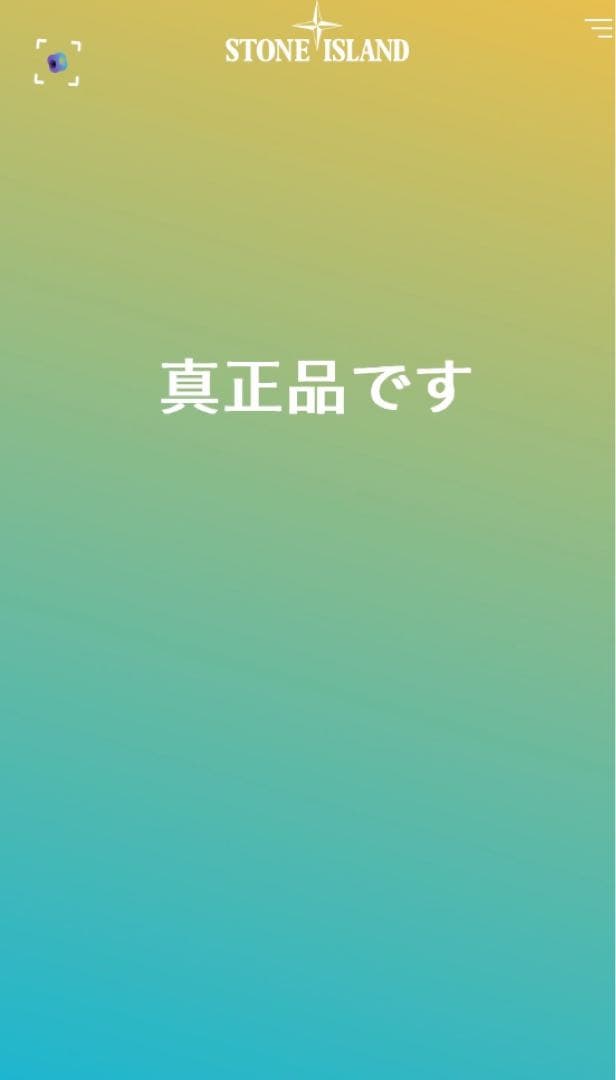 STONE  Tシャツ 刺繍 美品