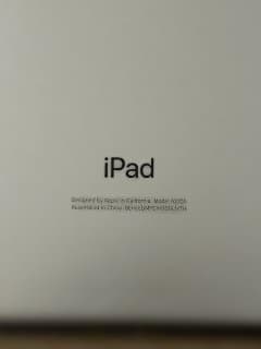 iPad mini第5世代シルバー256GB　セルラーモデル（楽天モバイルOK）