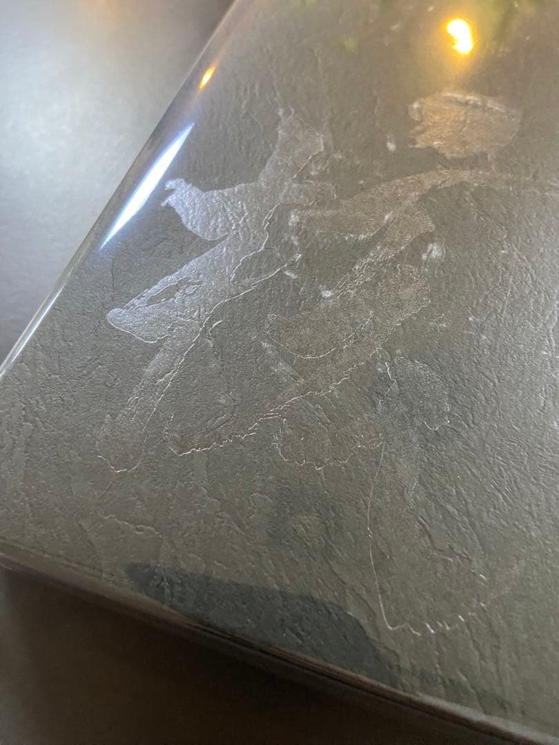 【VINYL -XG ver.-】THE CORE -核(VINYL) レコード