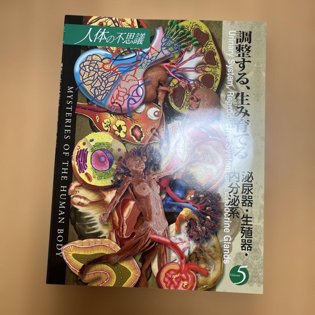 人体の不思議 全5巻セット