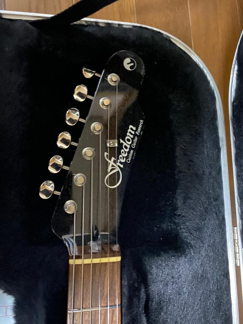 FREEDOM CUSTOM GUITAR BLACK PEPPER ケース付