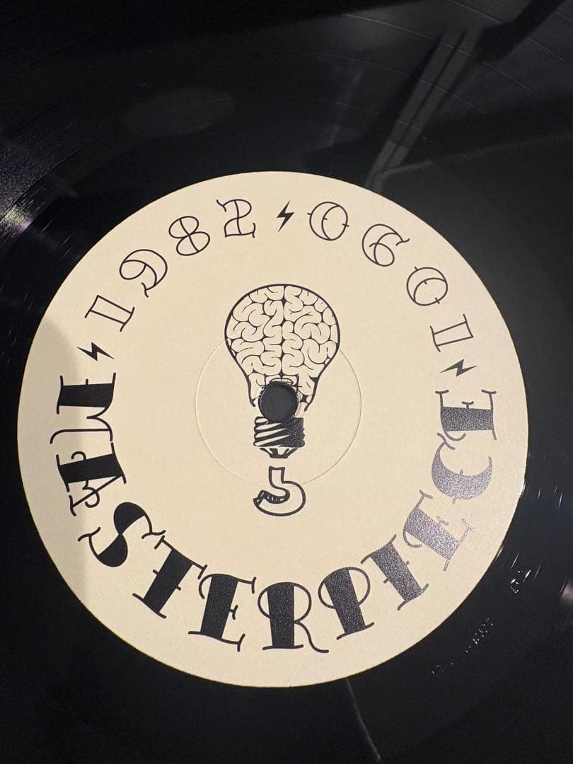仙人掌 VOICE LP レコード