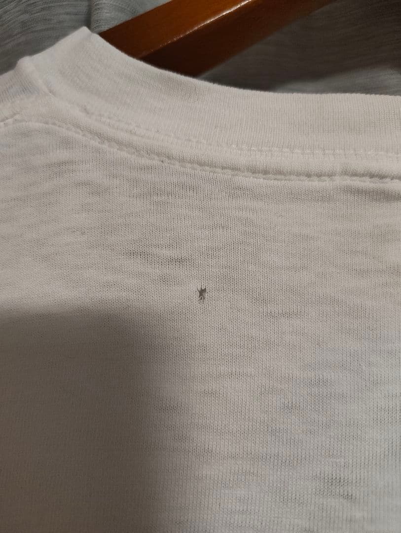 値下げ！希少！93年！Patagonia サーモン Tシャツ 初期！