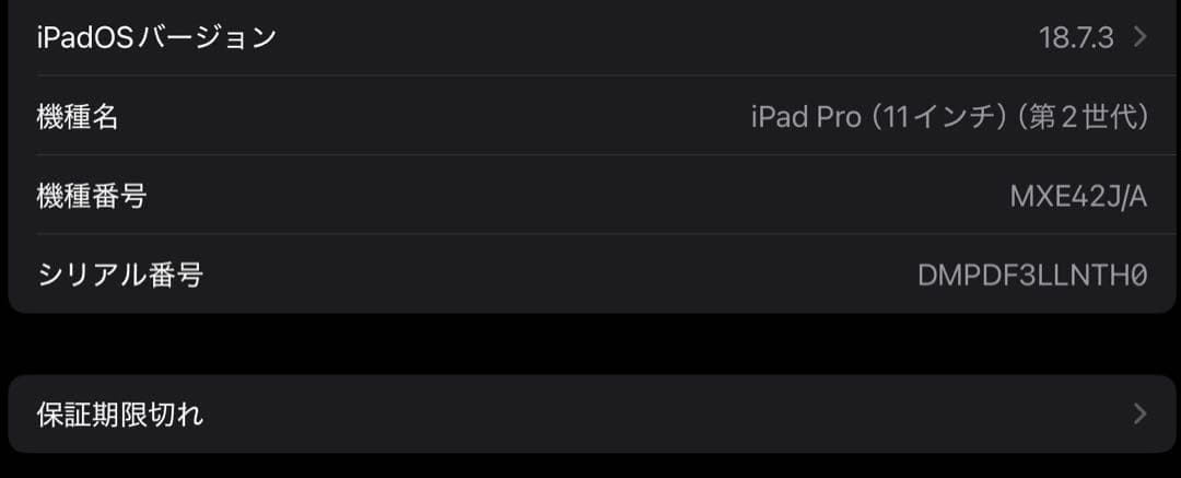 iPad Pro 11インチ256GB セルラーモデル　スペースグレイ 箱付き