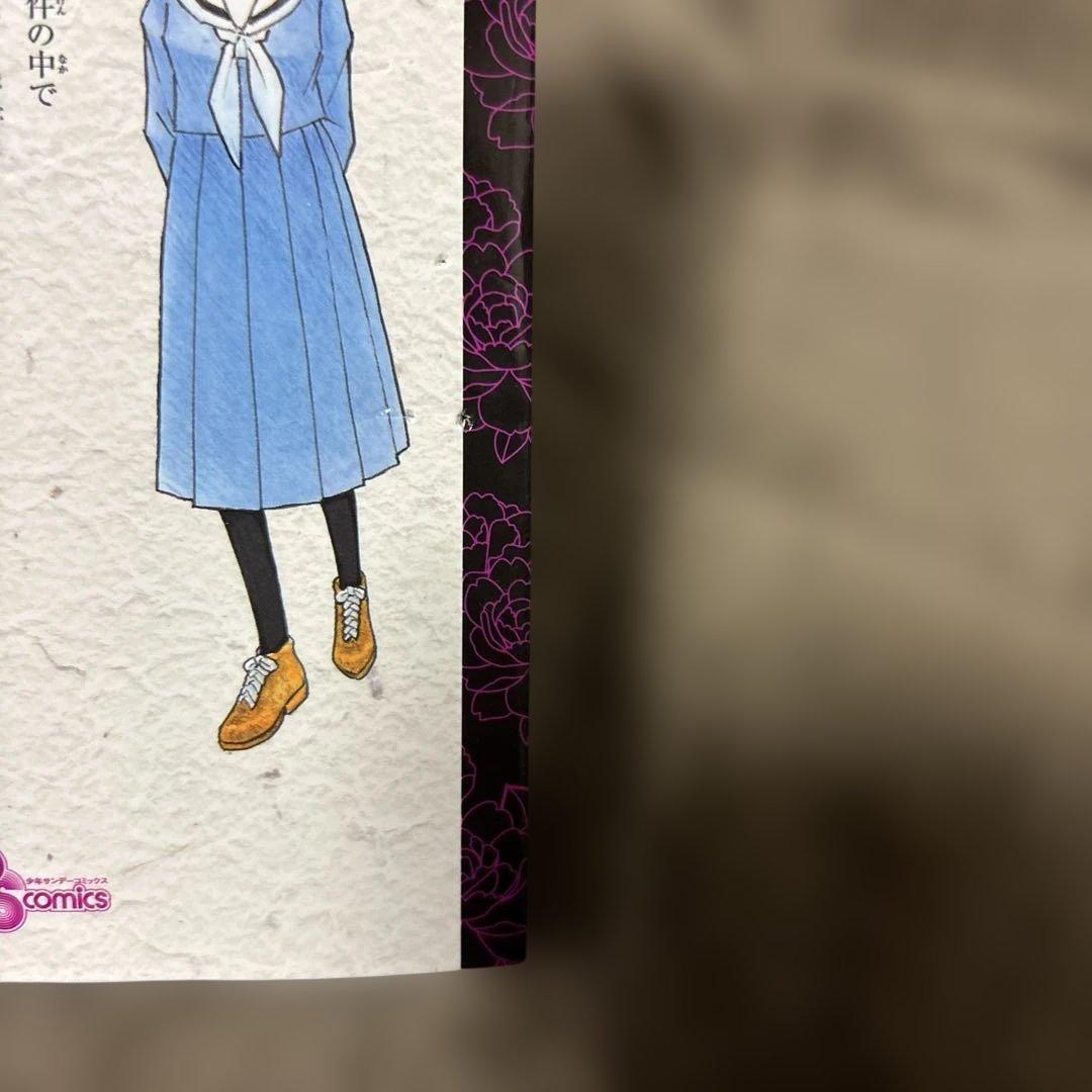 Mao マオ 1-27巻 高橋留美子 アニメ化