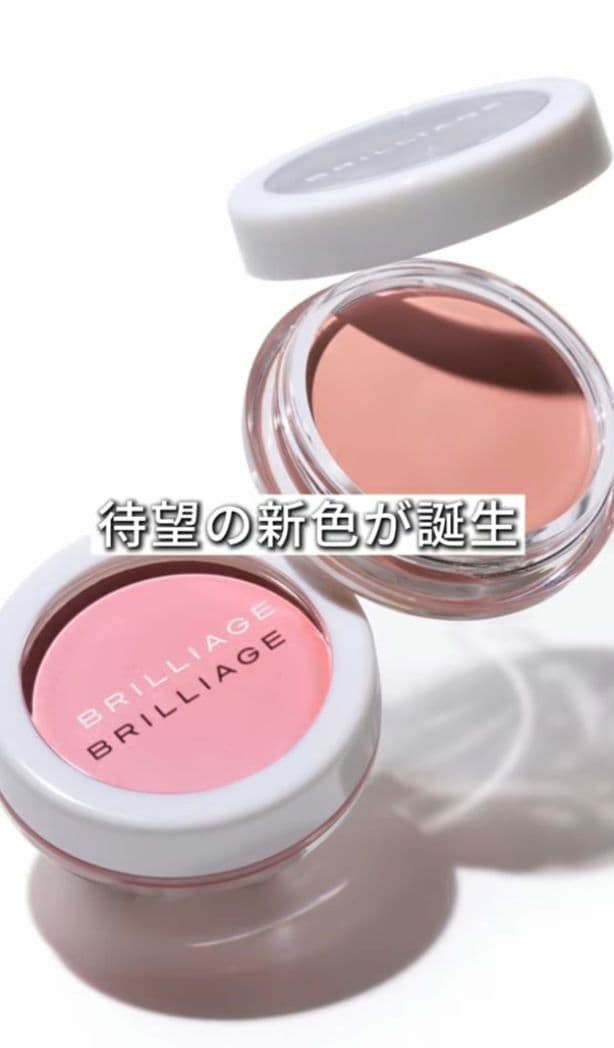 ブリリアージュ カモフラージュコンシーラーチーク ＆ 専用ワイドフィンガーブラシ