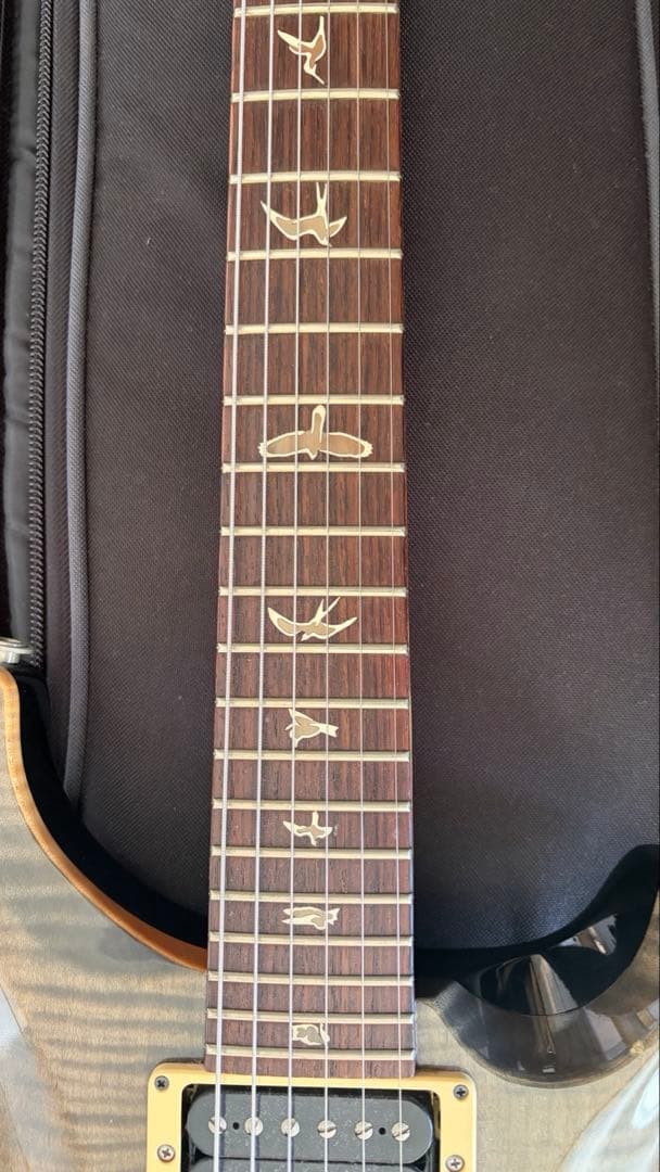 PRS Custom24 2011年モデル