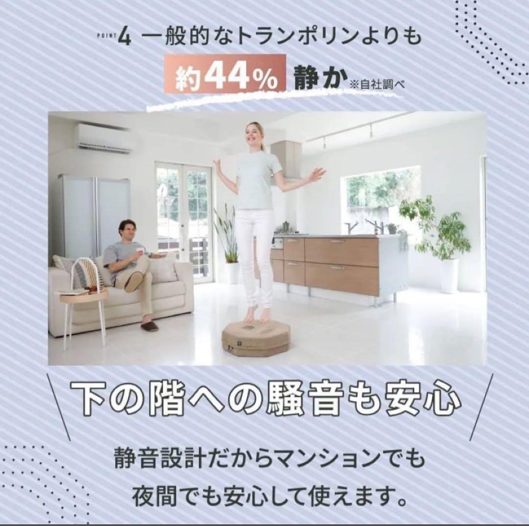 gymterior Shape Eight ジムテリア トランポリン