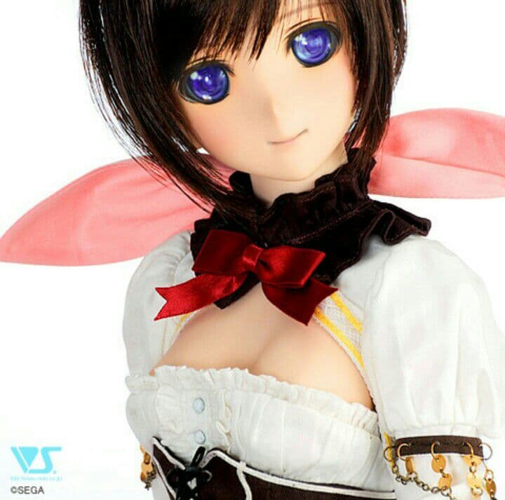DD ネリス