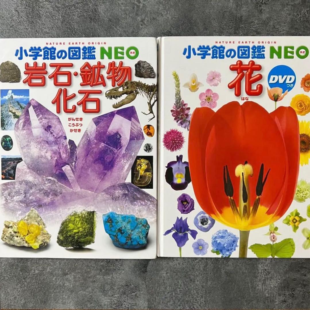 【本日まで❗️】小学館 図鑑 NEO 14冊セット DVD未開封・下敷やマップ付有