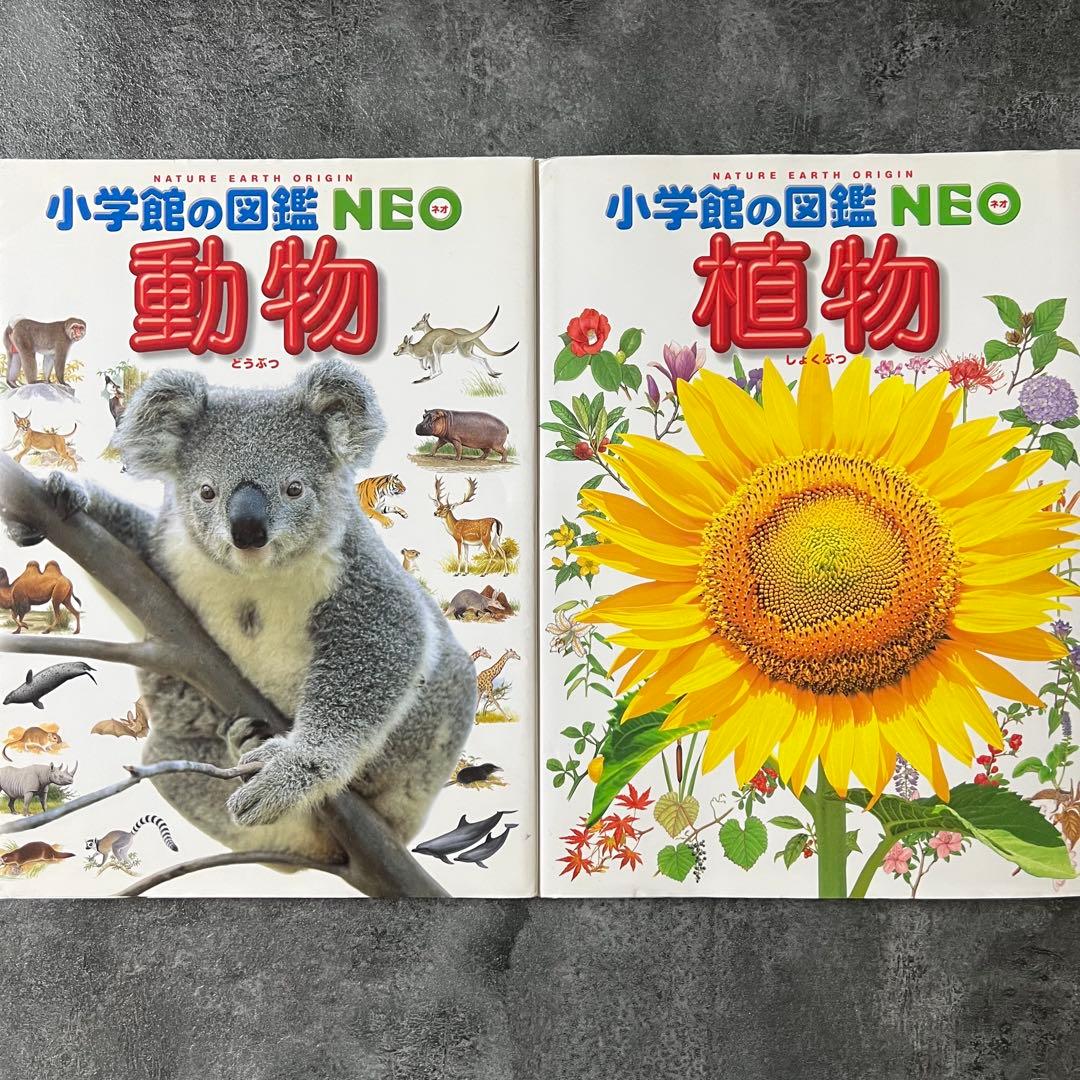 【本日まで❗️】小学館 図鑑 NEO 14冊セット DVD未開封・下敷やマップ付有