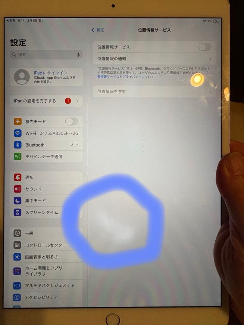 Ipad pro 10.5インチ 訳あり バッテリー86% touch 不具合
