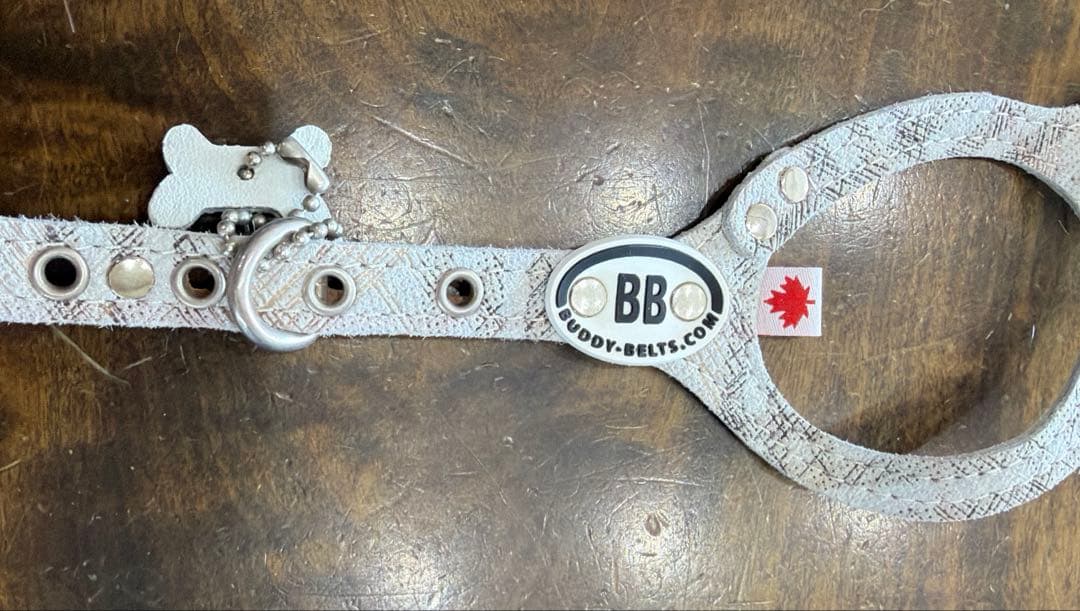 バディーベルト　bb パーフェクトプラート　2.5号　新品　未使用