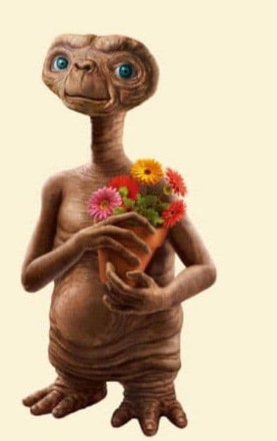 ET ぬいぐるみ 植木鉢 バースデイバー 限定 E.T. 40周年