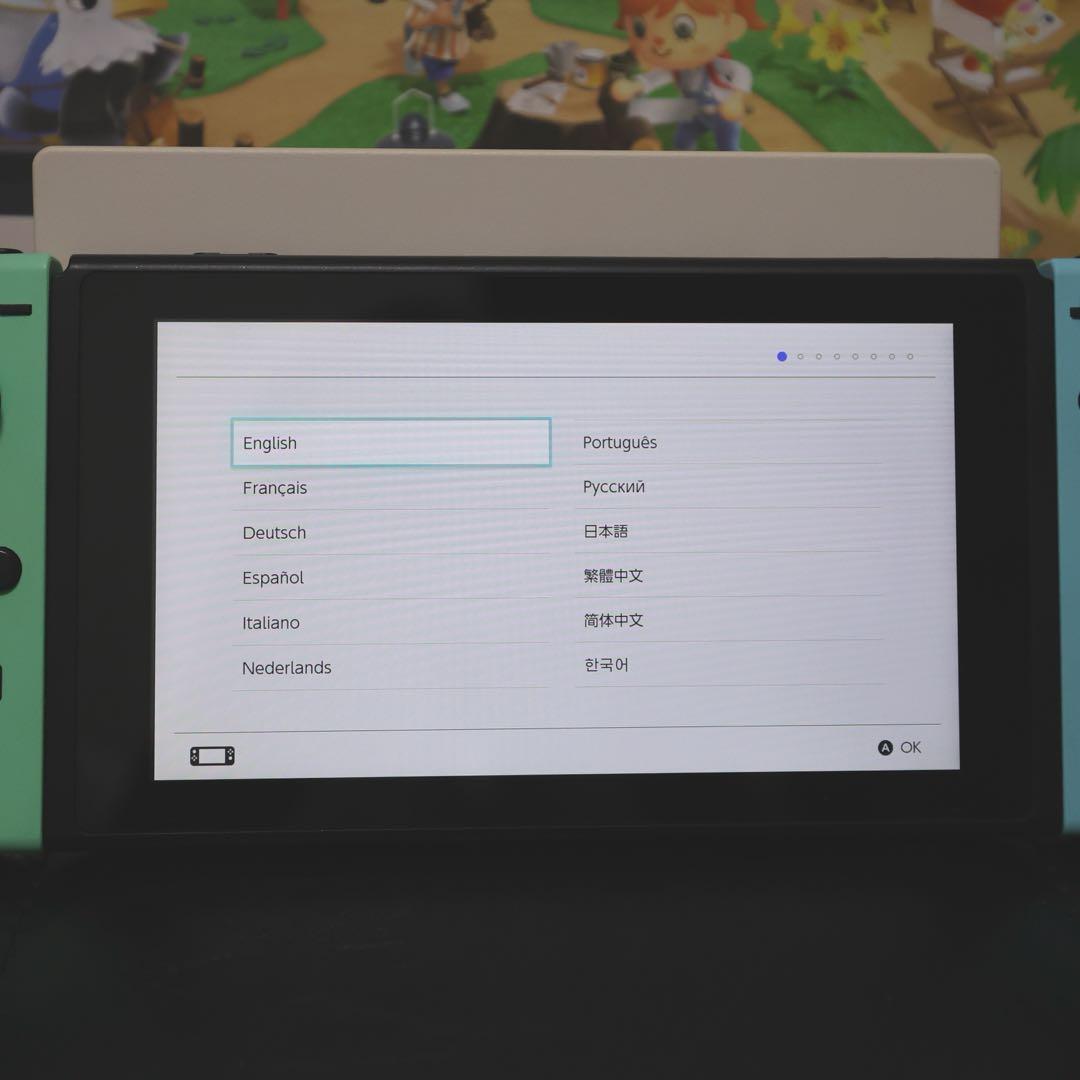 Nintendo Switch あつまれどうぶつの森セット（本体のみ）