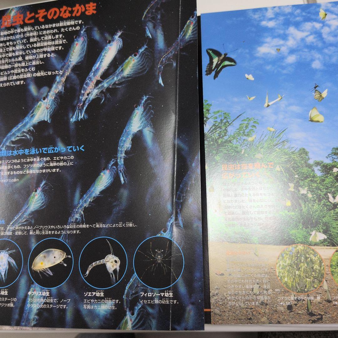 【週末お値下げ】小学館の図鑑　NEO ネオ　新版　7冊セット　DVD無し
