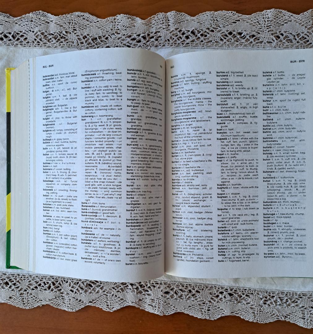 辞書Teora Dictionar Englez-Roman　ルーマニア語⇔英語