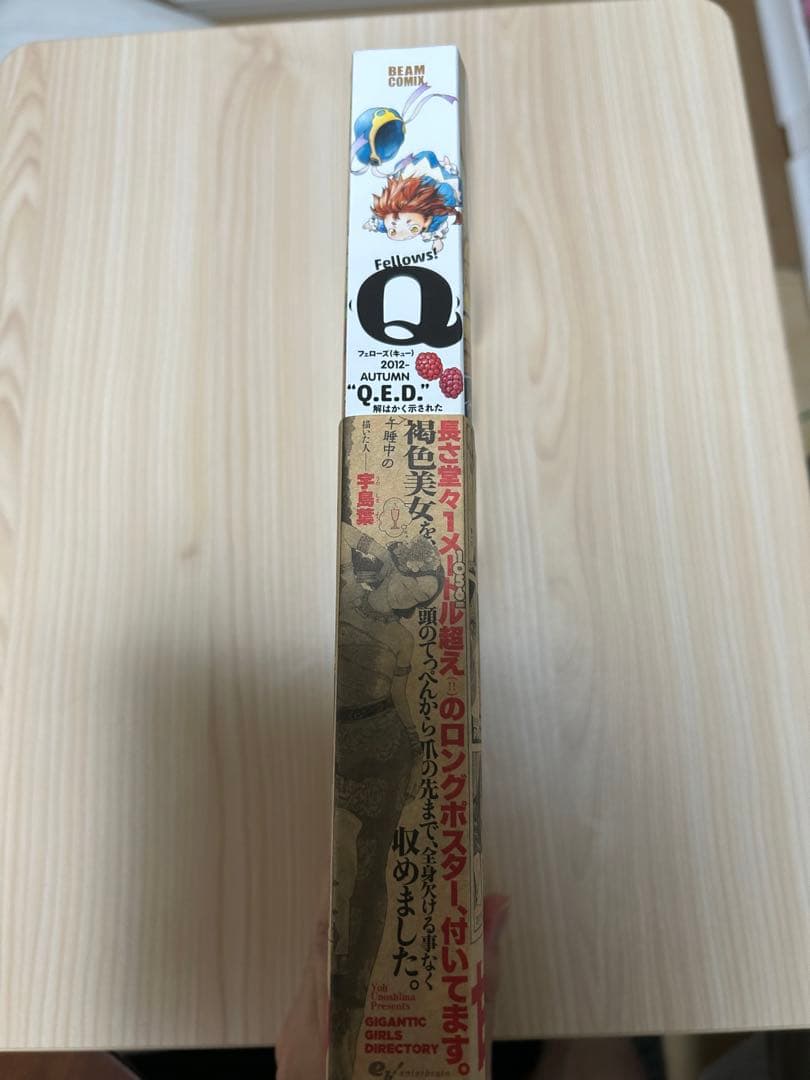 Fellows!(Q)「Q.E.D.」