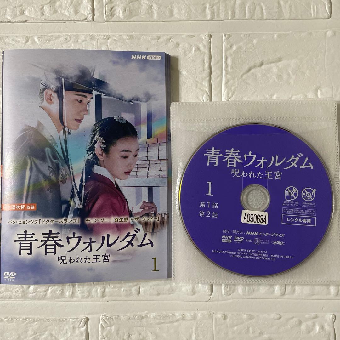 韓国ドラマ　青春ウォルダム 呪われた王宮 DVD 全10巻セット