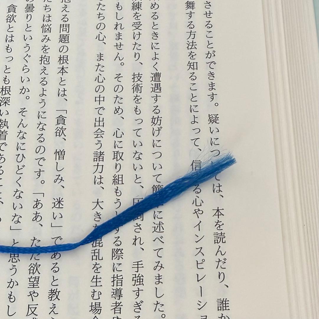 【稀少絶版本】入手困難品⭐︎ スピリチュアル・エマージェンシー 初版本 カバー無し
