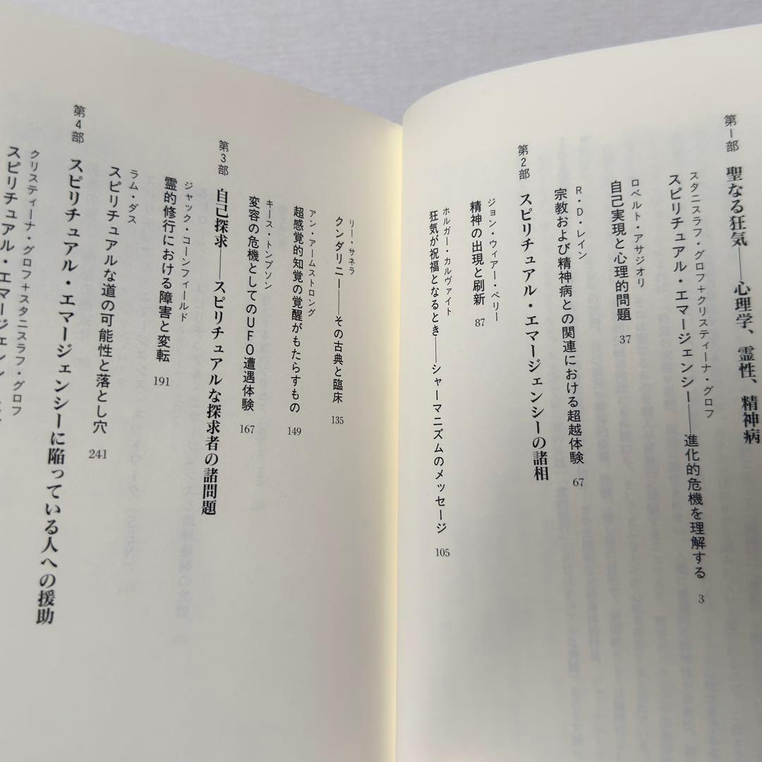 【稀少絶版本】入手困難品⭐︎ スピリチュアル・エマージェンシー 初版本 カバー無し