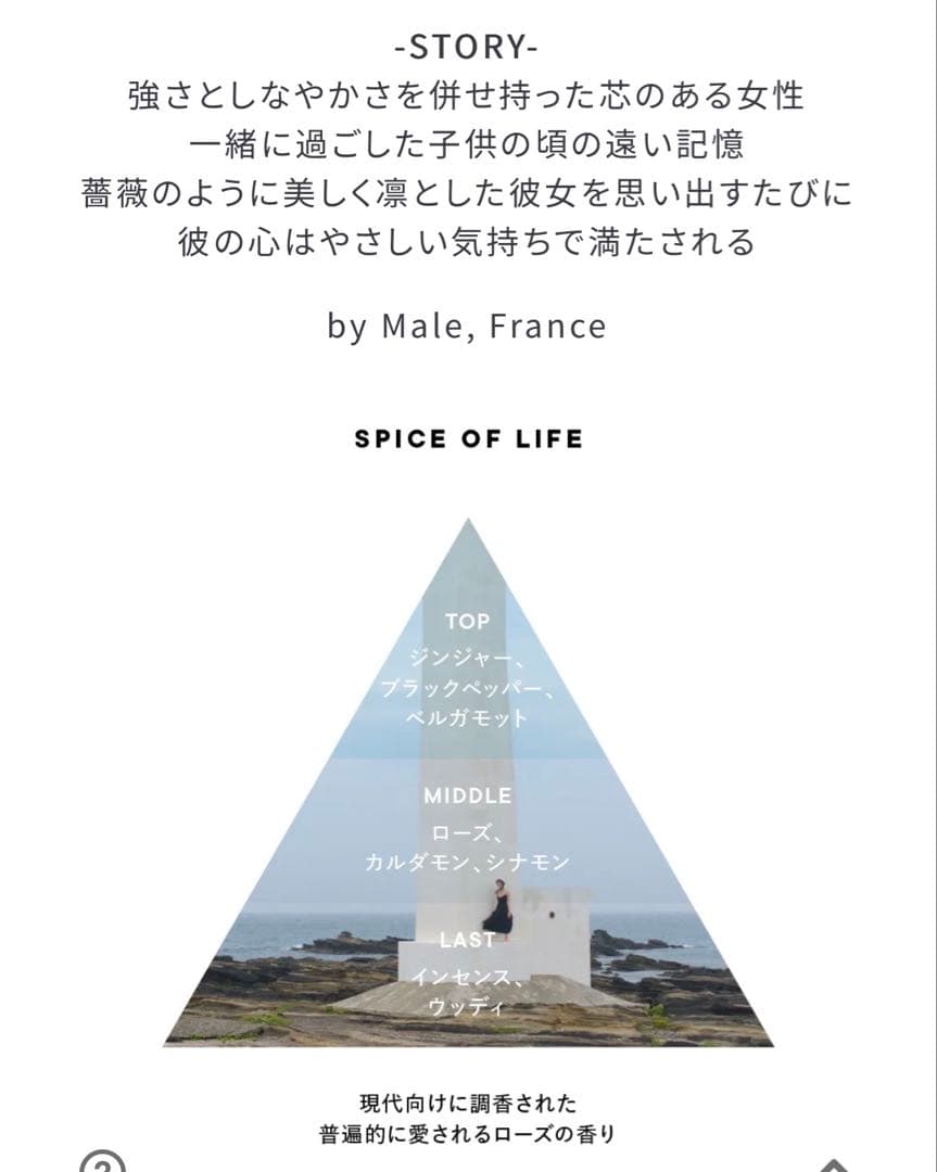 SHIRO SPICE OF LIFE セット 香水 ハンド美容液 限定価格
