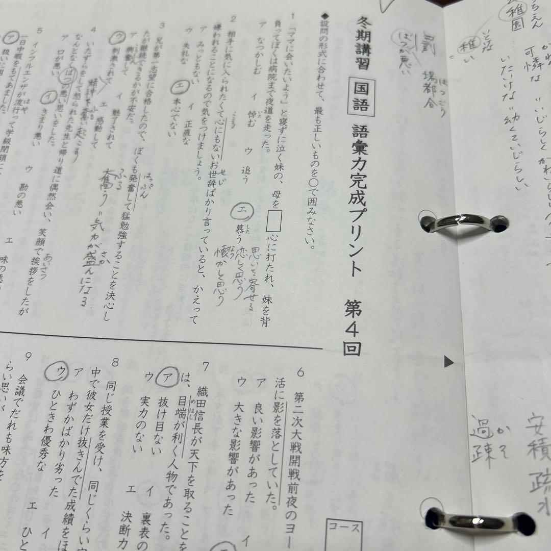 ㉔か　大変重宝　SAPIX SAPIX 語彙力強化プリントファイル 総仕上げ❣️