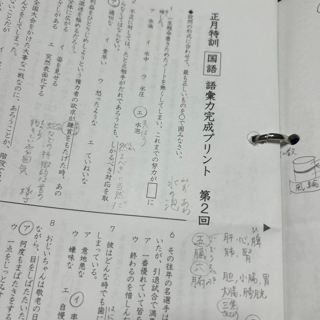 ㉔か　大変重宝　SAPIX SAPIX 語彙力強化プリントファイル 総仕上げ❣️