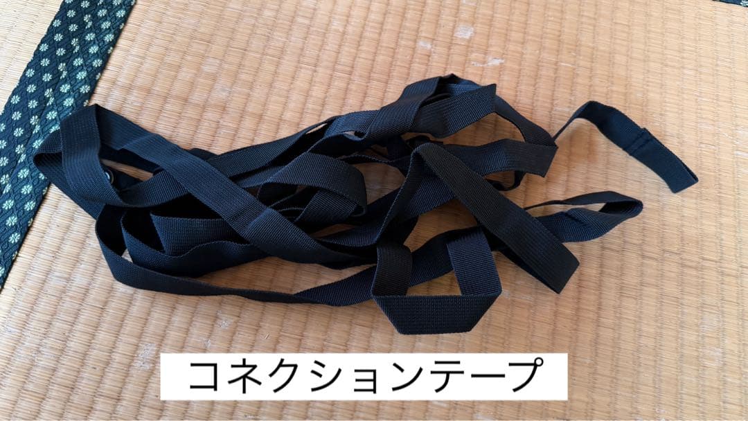 スノーピーク エントリーパックTT SET-250RH テントタープセット