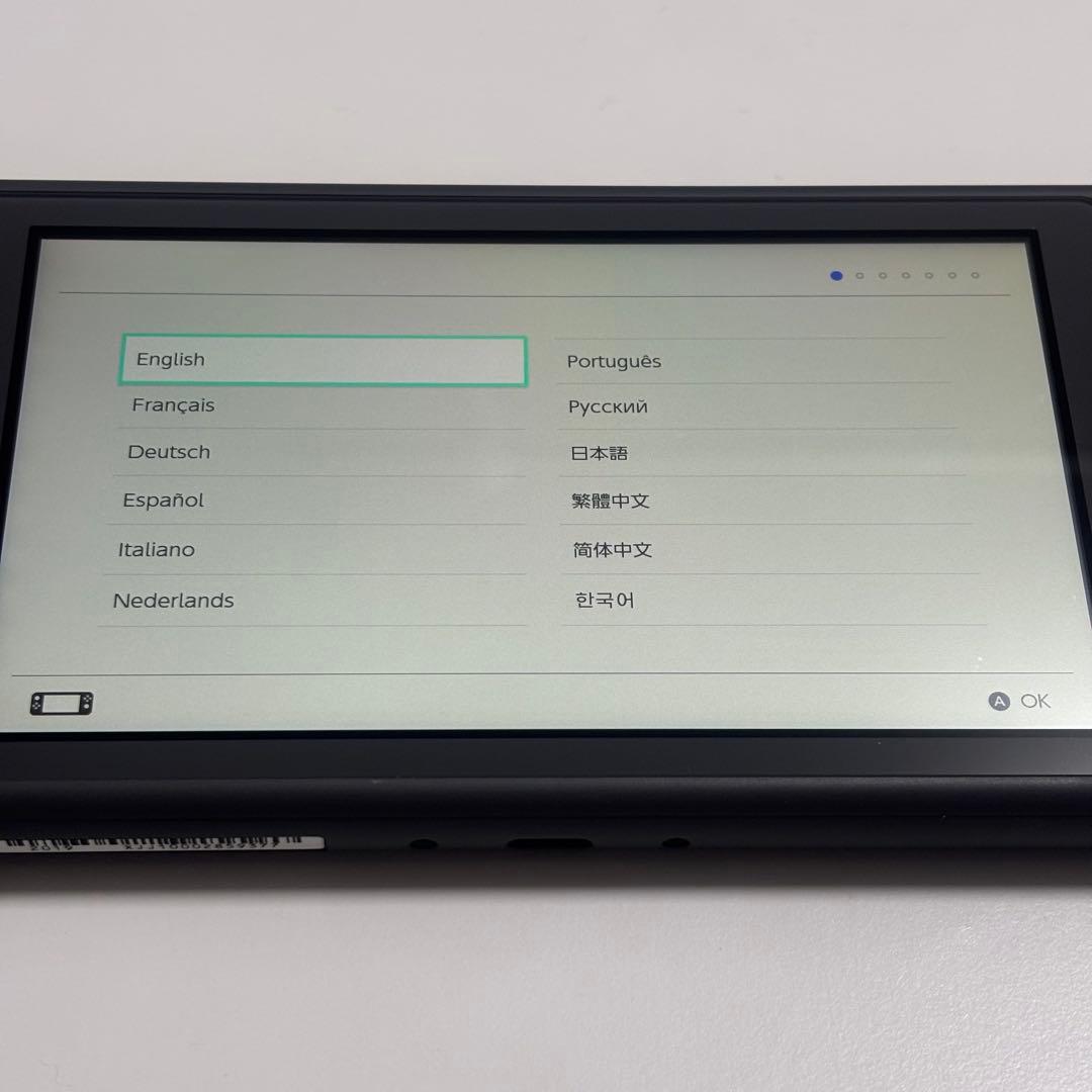 Nintendo Switch Lite グレー 本体　充電器付き