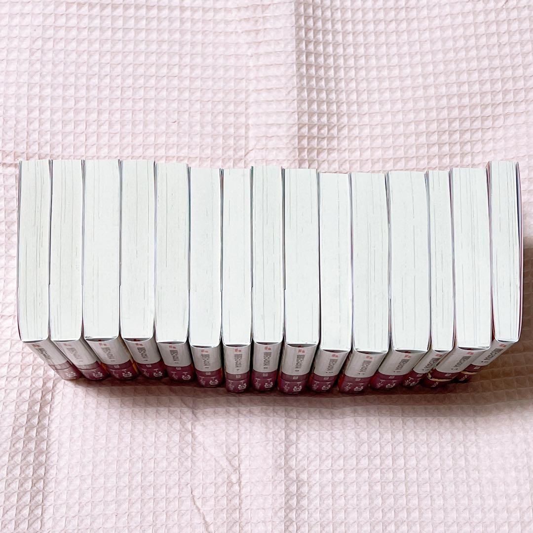 薬屋のひとりごと 小説 1〜15巻セット