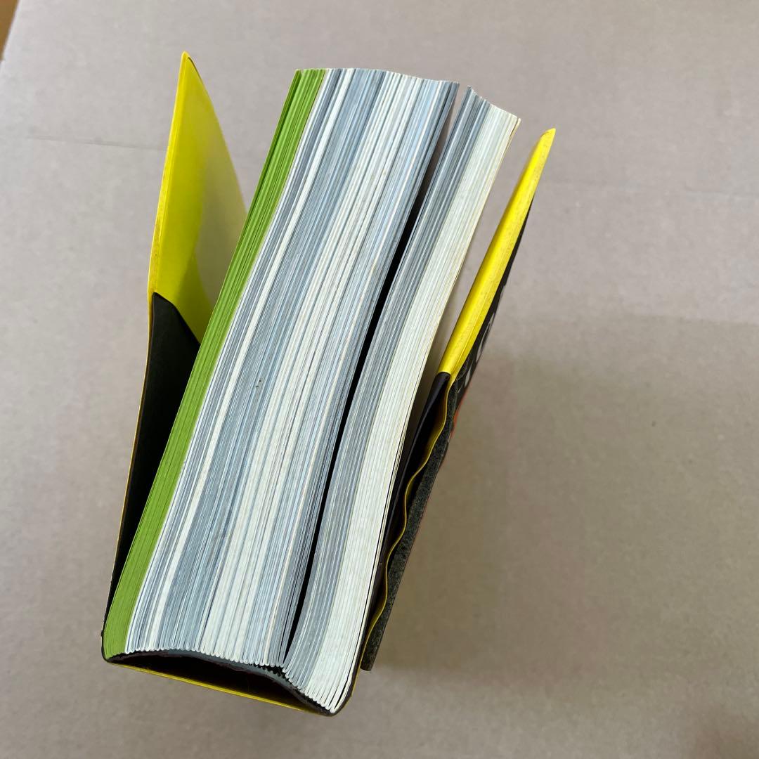 洋書 MUTATIONS REM KOOLHAAS