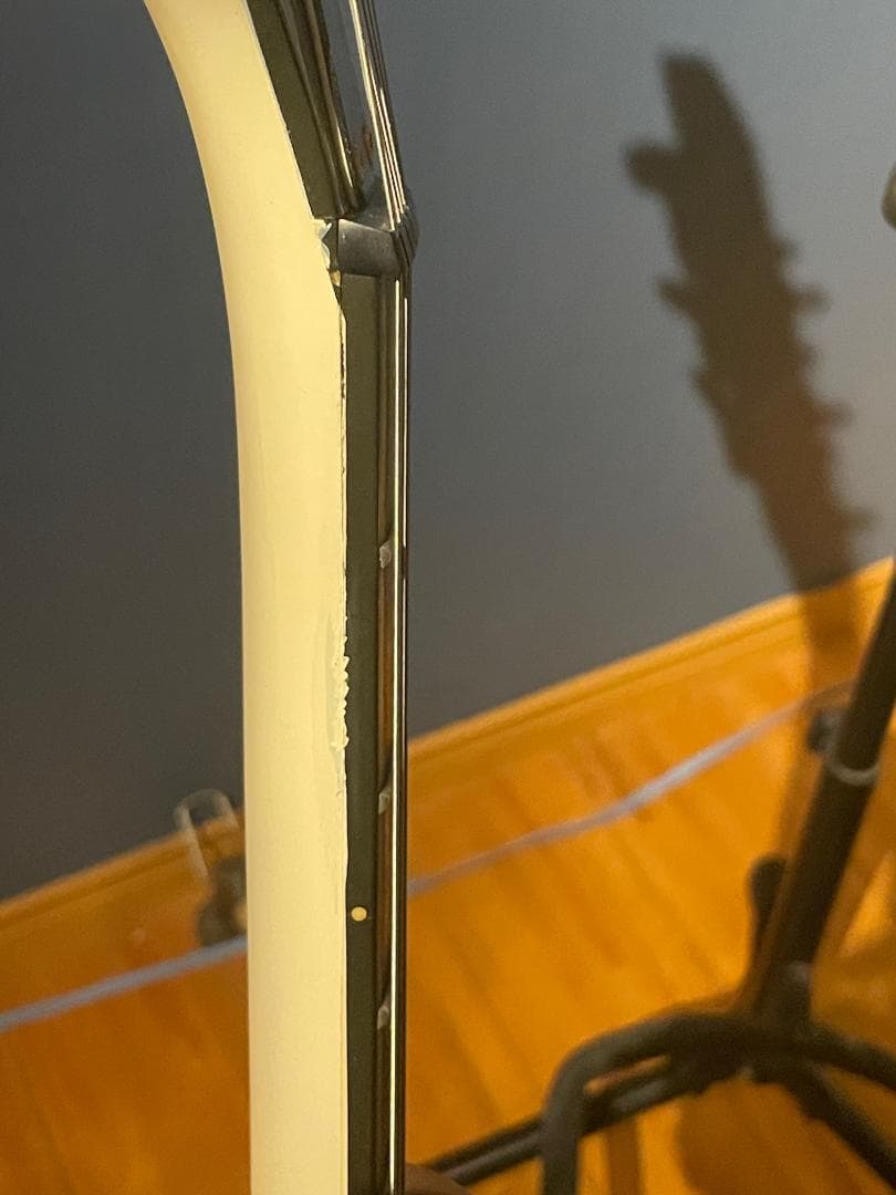 Aria Pro II TA-55　セミアコ？フルアコ？　希少動作品