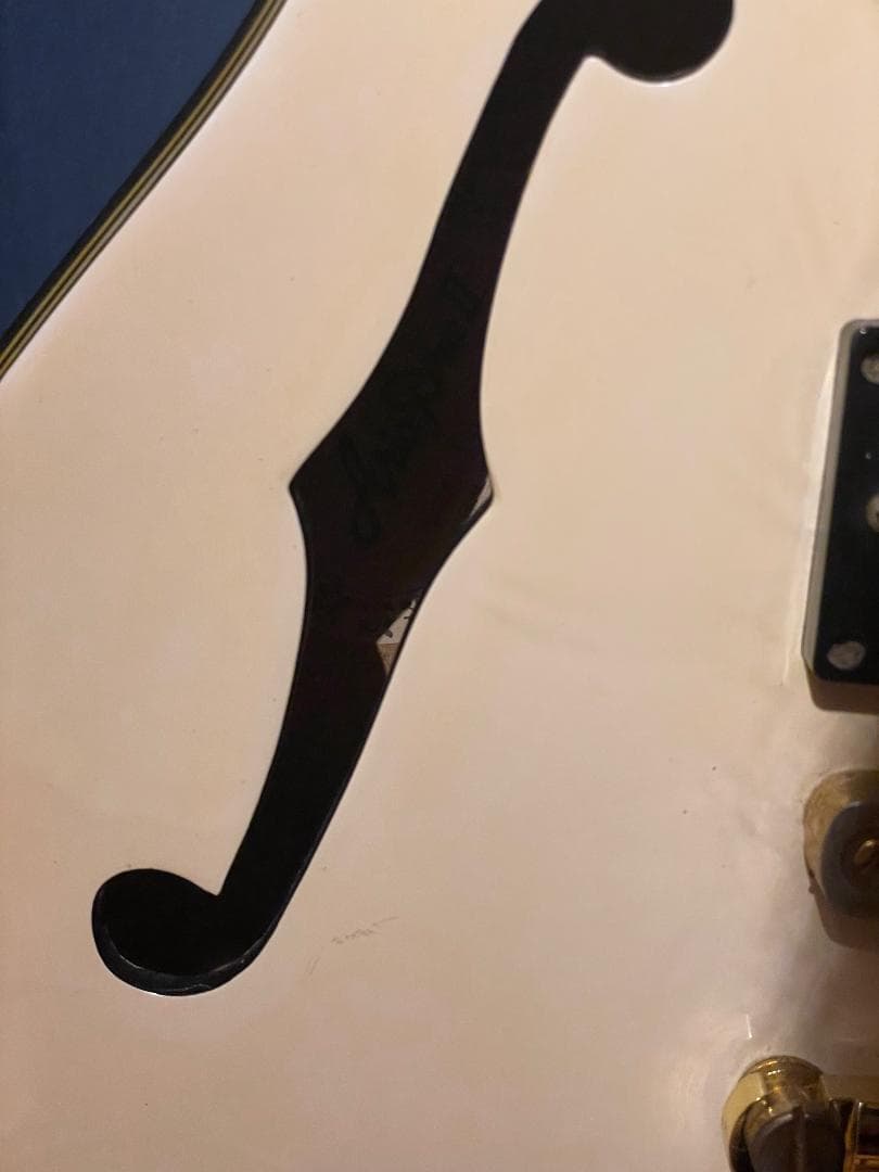Aria Pro II TA-55　セミアコ？フルアコ？　希少動作品
