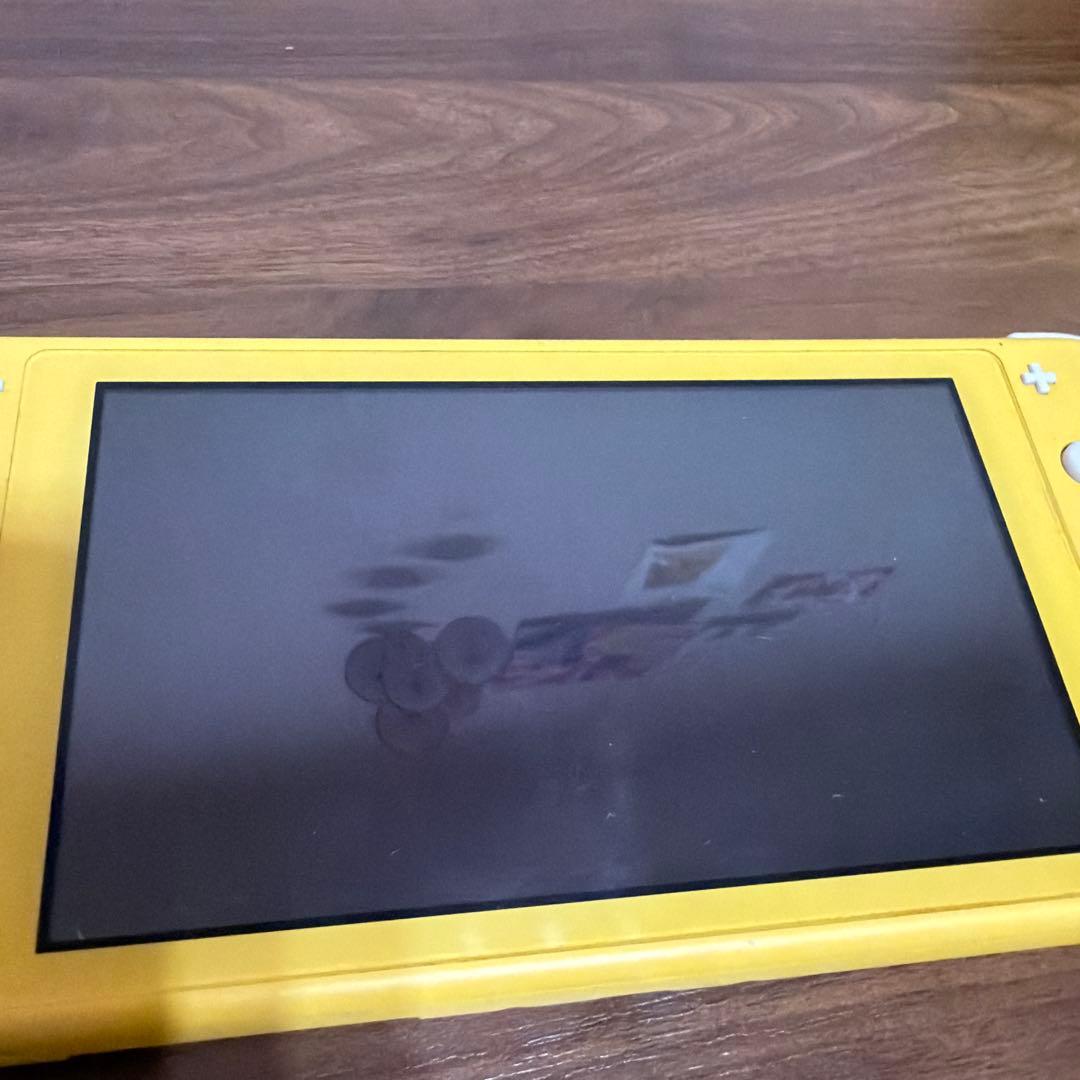 Switch Lite 本体　カバー、コード付き