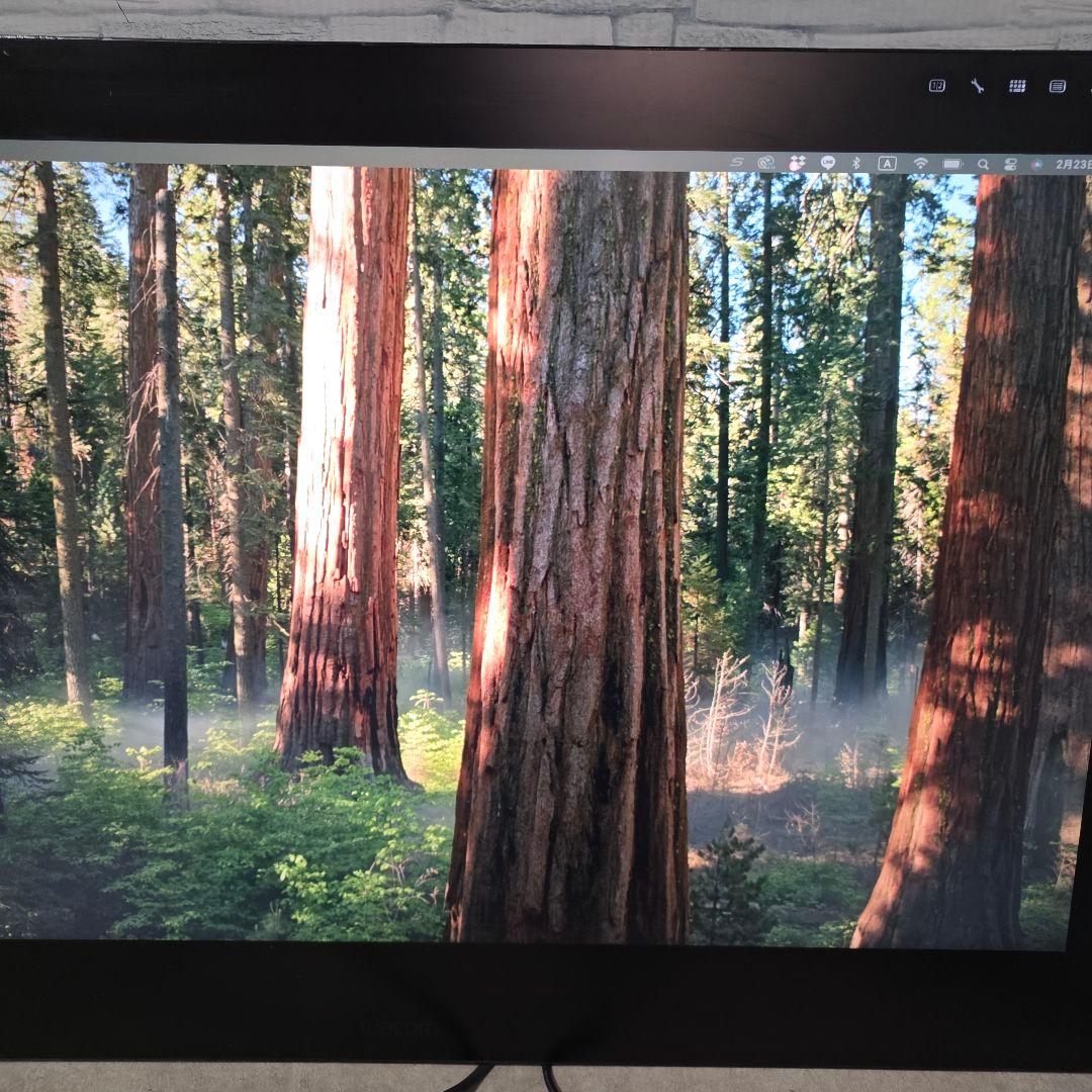 Wacom Cintiq Pro 32 DTH-3220 液晶ペンタブレット