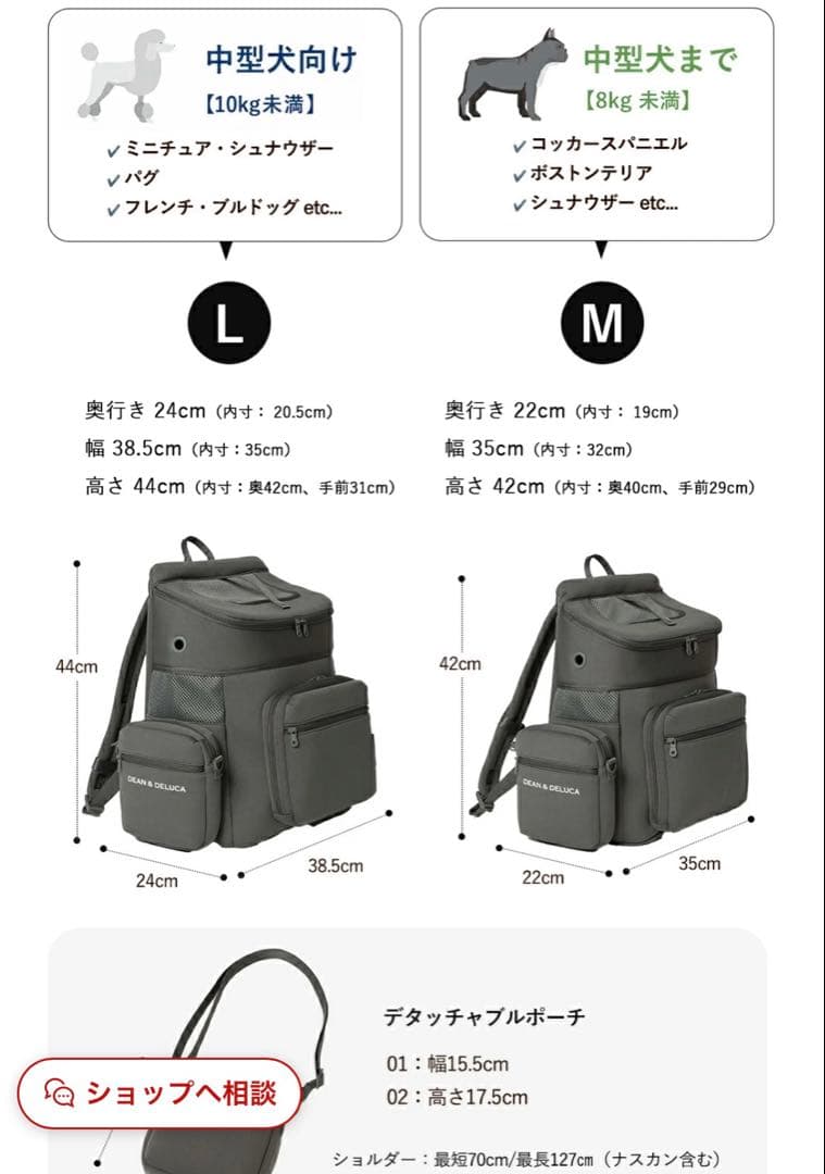 DEAN & DELUCA バックパックキャリー Mグレー