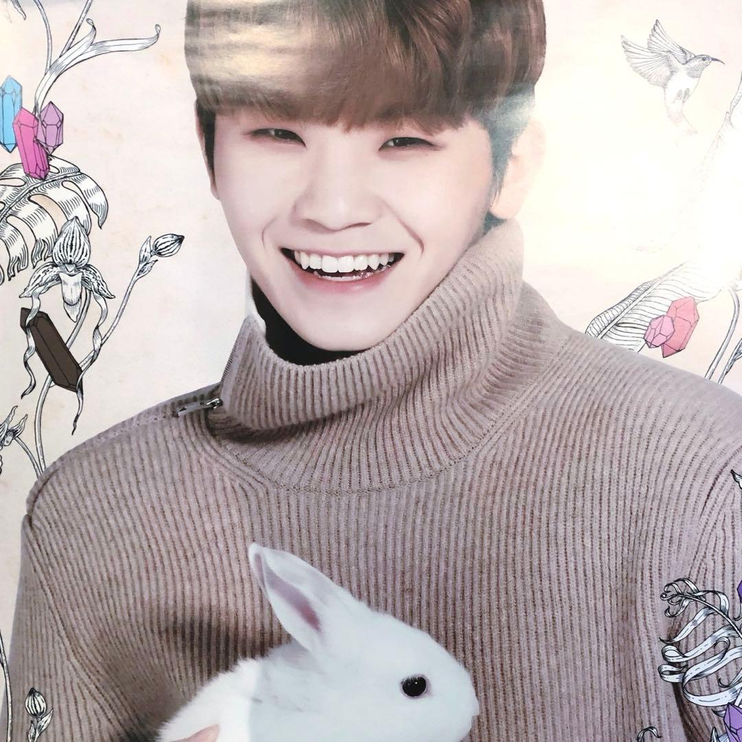 SEVENTEEN CARAT LAND ウジ うさぎ　ポスター　ケレン　セブチ