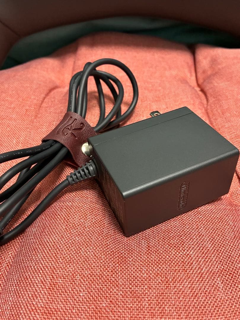 ニンテンドースイッチ　Lite 本体　ACアダプター付き