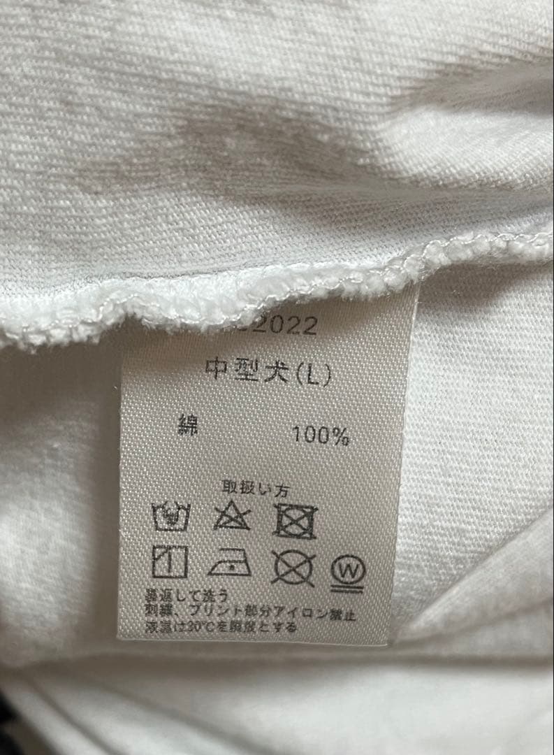 ガルフィー GALFY CRUTCH BRAND ダメージ加工Tシャツサブカル