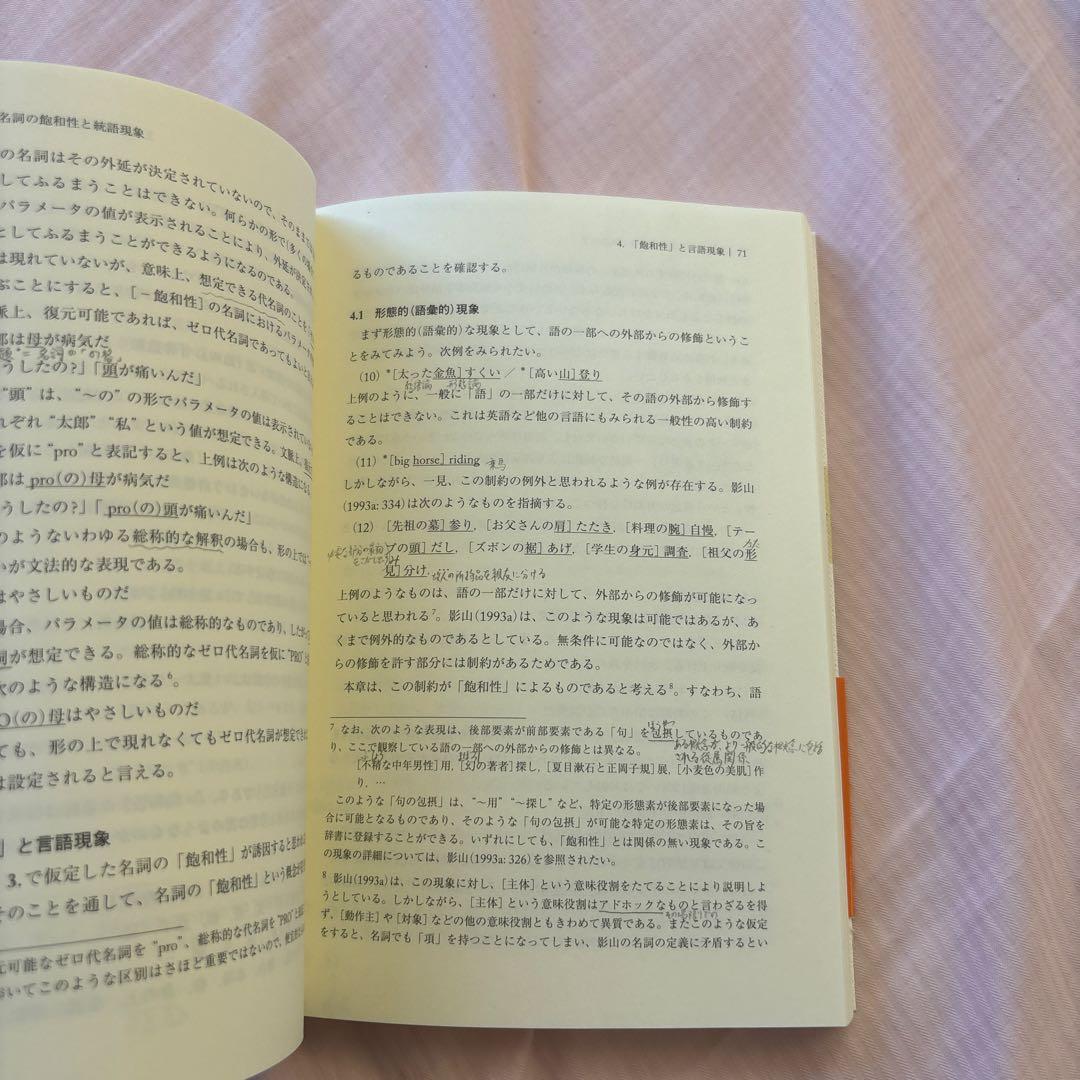 日本語研究のインターフェイス(帯付き) 著者: 三宅知宏　絶版本