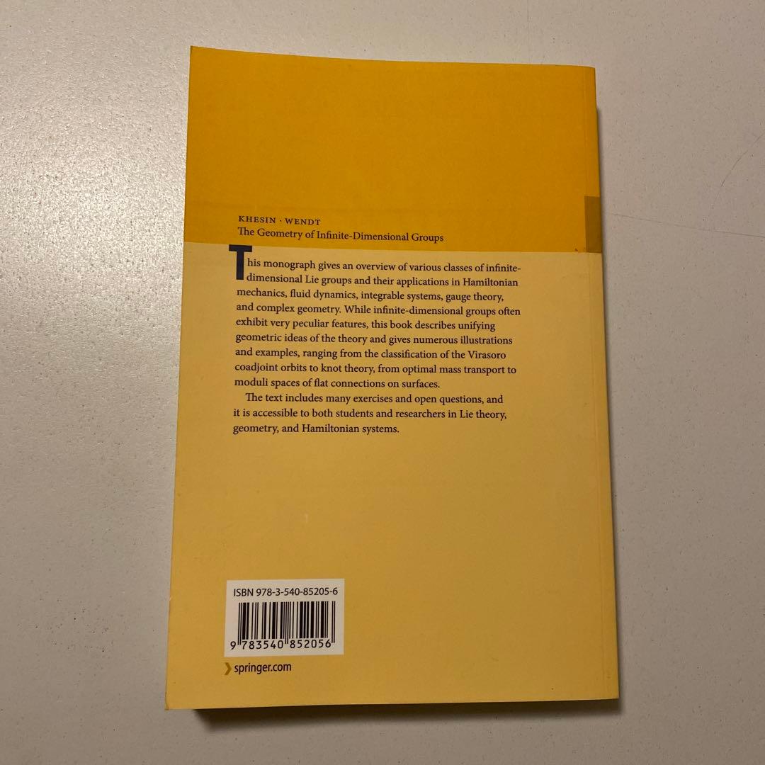 洋書 The Geometry of Infinite-Dimensional Gro