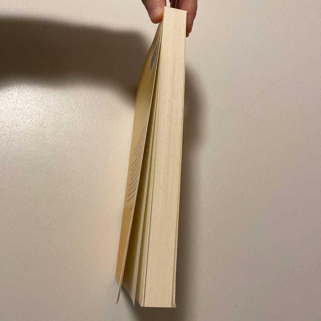 洋書 The Geometry of Infinite-Dimensional Gro