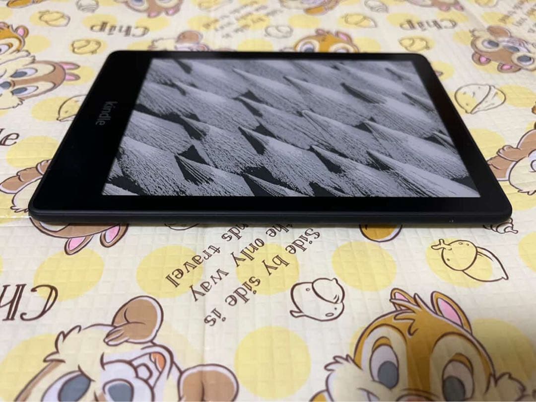 Kindle Paperwhite 第11世代 8GB 本体 カバー付 広告なし