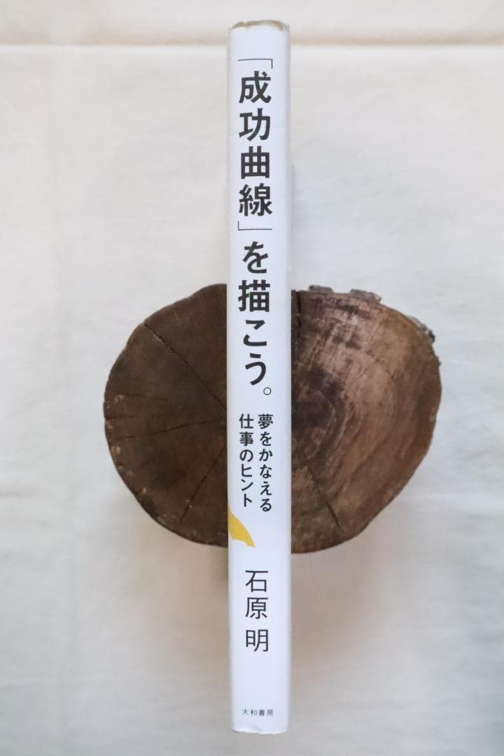 「成功曲線」を描こう。 夢をかなえる仕事のヒント 石原明著