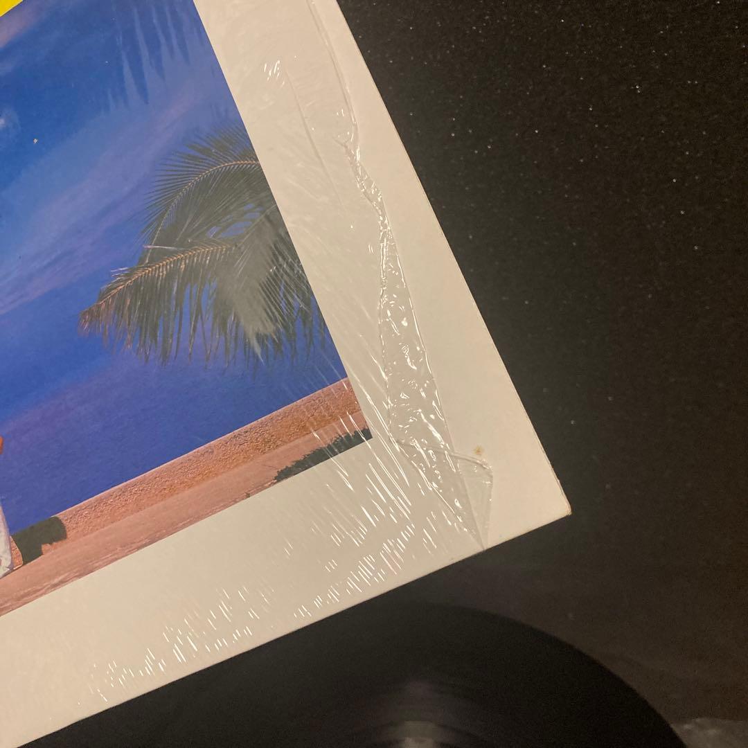 角松敏生 SEA IS A LADY LPレコード ヴィンテージアルバム
