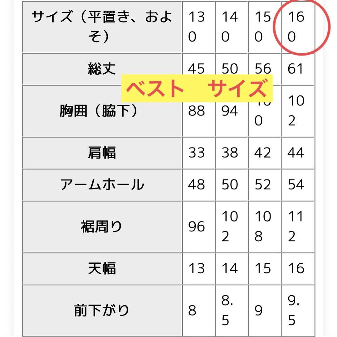 ANTIQUA セットアップ3点セット