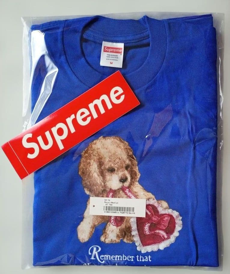Supreme / Dust Tee (M) 青